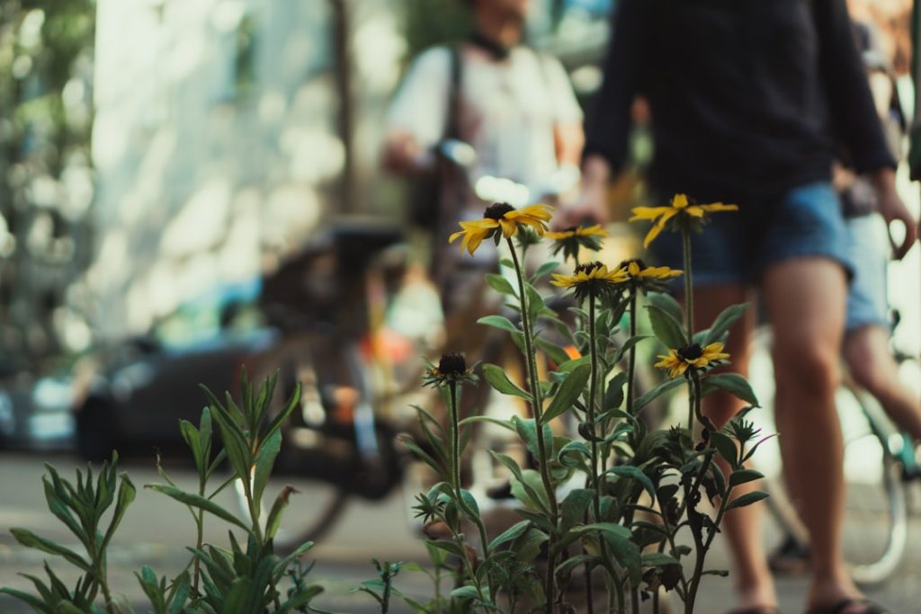 entdecken sie unseren hochwertigen sonnenhut für gartenarbeit – optimaler schutz vor der sonne, bequem und stilvoll für alle gartenliebhaber.